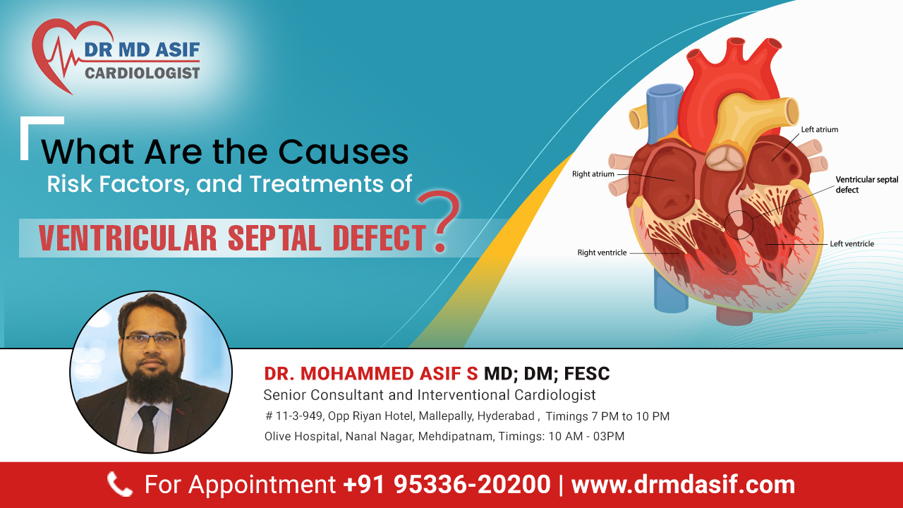 What Are the Causes, Risk Factors, and Treatments of Ventricular septal defect?